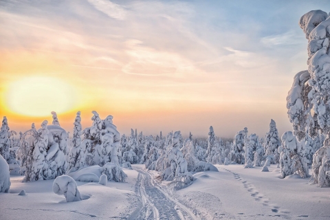 Lappland: Tour zu den gefrorenen Wasserfällen von Korouoma