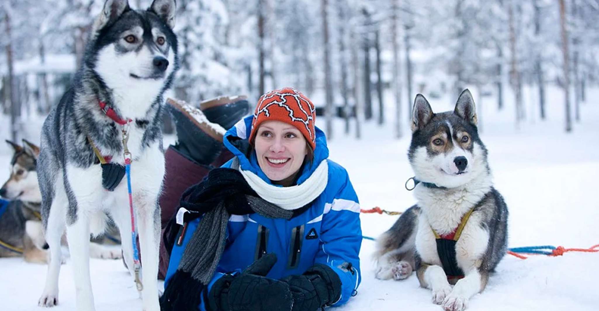 Rovaniemi, Husky Safari on a Snowy Trail - Housity