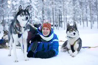 Rovaniemi, Husky Safari en un sendero nevado - Housity