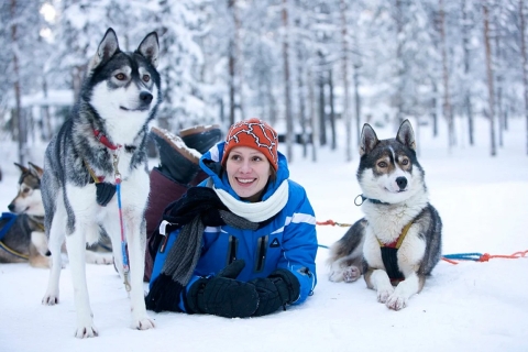 Rovaniemi: Husky Safari na śnieżnym szlaku