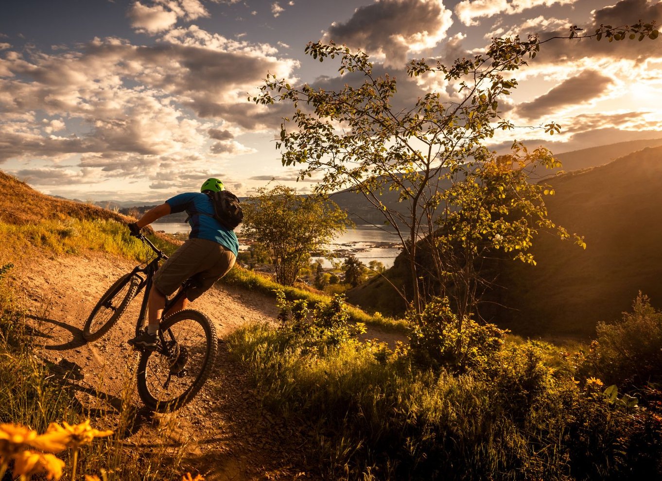 Salzburg: Mountainbike-tur i by og landskab