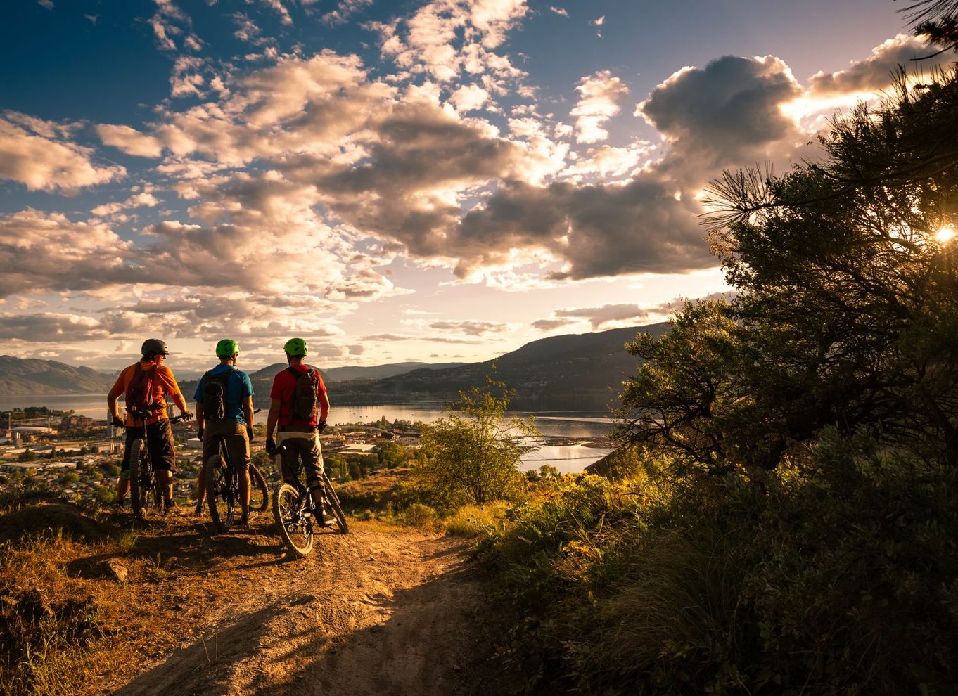 Salzburg: Mountainbike-tur i by og landskab