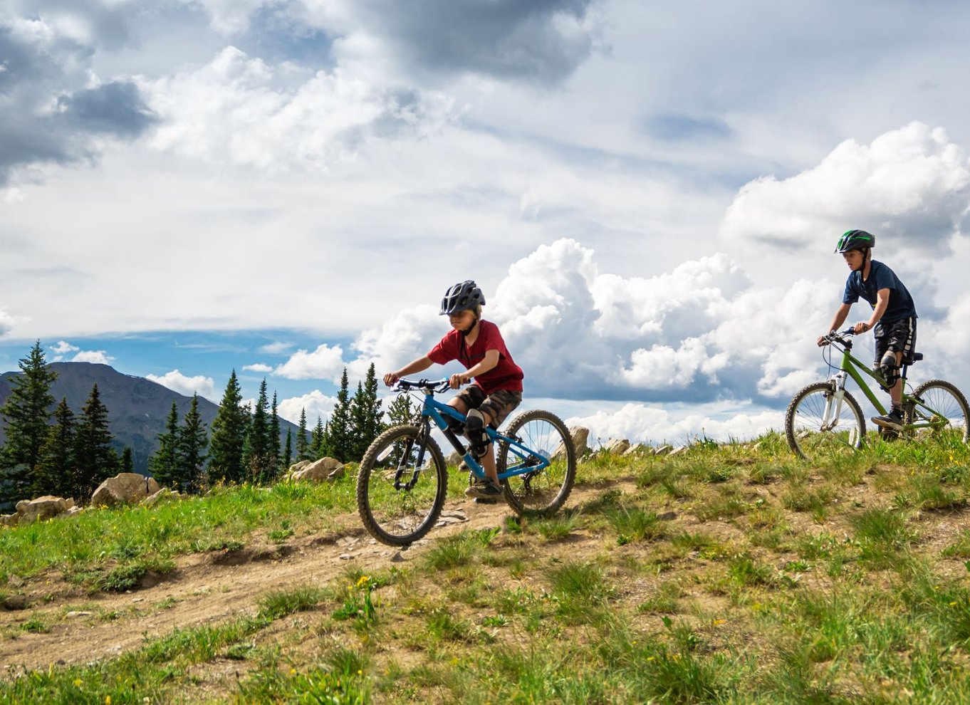 Salzburg: Mountainbike-tur i by og landskab