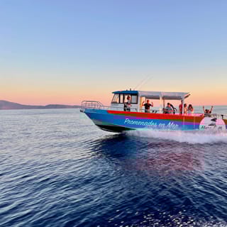 Tiucca: Corsica Afternoon Boat Trip with Stops