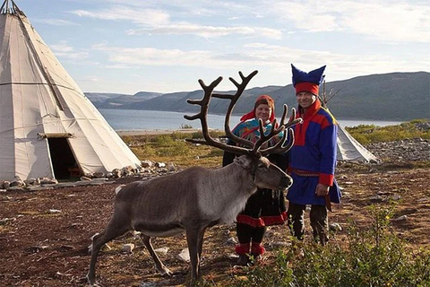 Rovaniemi: visita alla fattoria delle renne in estate