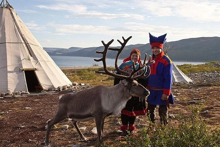 Rovaniemi: visita à fazenda de renas no verão