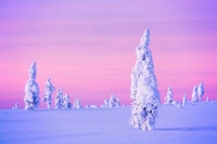 Rovaniemi, Half-Day Snowmobile & Ice Fishing Experience - Housity