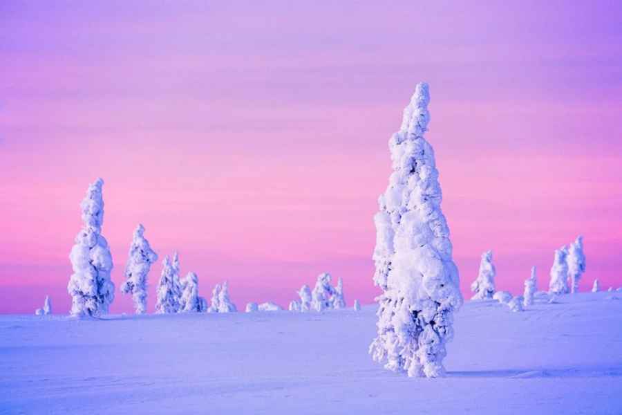 Rovaniemi: Halbtägiges Schneemobil- und Eisangelerlebnis. Foto: GetYourGuide