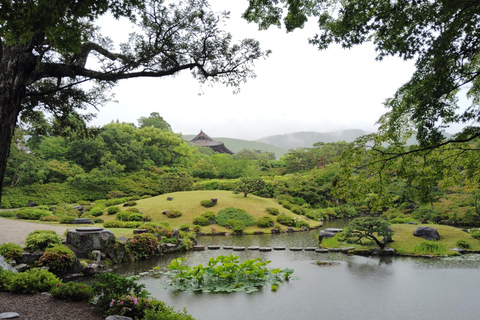نارا: جولة في حدائق يوشيكين وإيسوئين مع حفل شاي