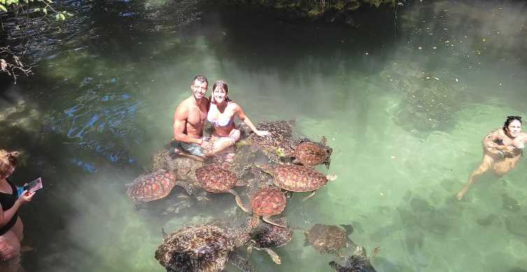 Zanzibar North Coast and Turtle Sanctuary Tour GetYourGuide