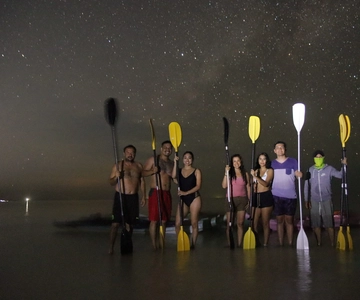 Holbox: Stelle e vita marina bioluminescente in kayak