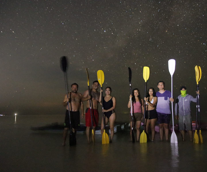 Holbox: Stars and Bioluminescent Marine Life -melontaretki