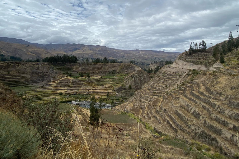 Depuis Arequipa : canyon de Colca et thermes de La Calera