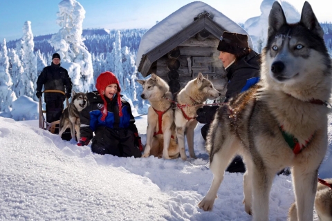 Rovaniemi: slederit met Arctische dieren en Wildlife Zoo