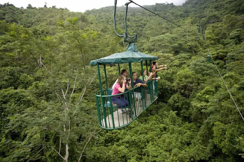 Van San Jose: Braulio Carillo National Park Rainforest Tram | GetYourGuide