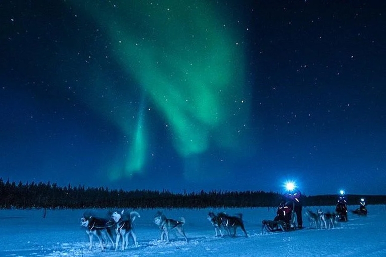 Rovaniemi: Northern Lights and Husky Sleigh Ride