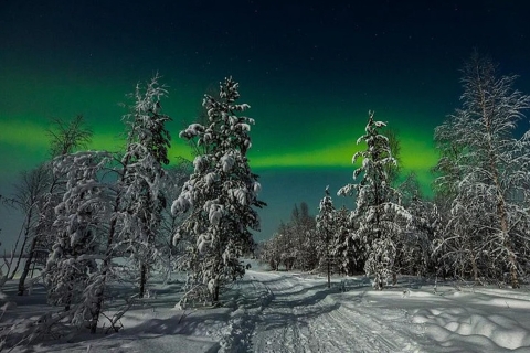 Rovaniemi: noorderlicht en husky-sleetocht