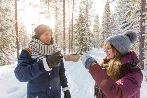 Rovaniemi: całodniowa wycieczka po atrakcjach z lunchem
