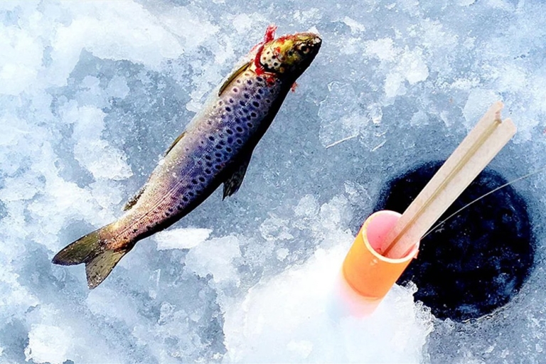 Rovaniemi: pesca en hielo y viaje de sauna con almuerzo de barbacoa