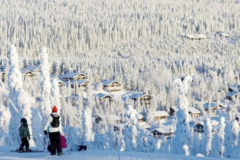 Rovaniemi: Ganztägiges Skifahren mit professionellem Instructor