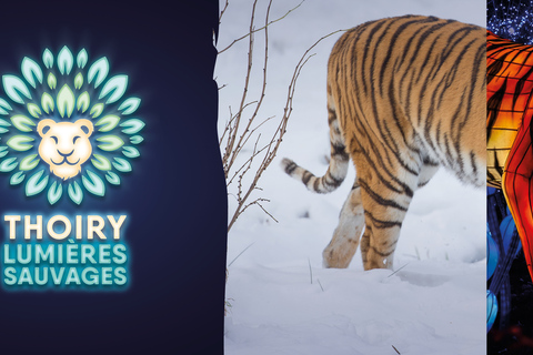 Ticket de entrada al WOW Safari ThoiryTicket de entrada a WOW Safari Thoiry