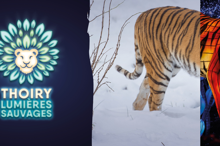 Ticket de entrada al WOW Safari ThoiryTicket de entrada a WOW Safari Thoiry