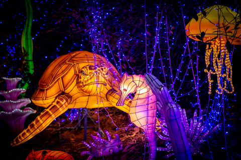 Ticket de entrada al WOW Safari ThoiryTicket de entrada a WOW Safari Thoiry