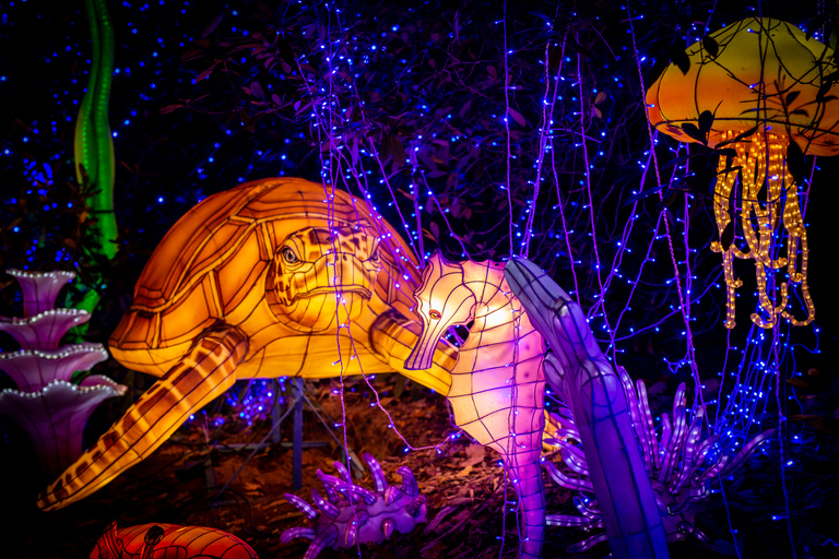 Ticket de entrada al WOW Safari ThoiryTicket de entrada a WOW Safari Thoiry