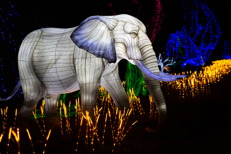 Ticket de entrada al WOW Safari ThoiryTicket de entrada a WOW Safari Thoiry