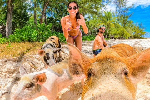 Île Pearl : Plage des cochons avec déjeunerÎle Pearl : Pigs Beach avec déjeuner et kayak