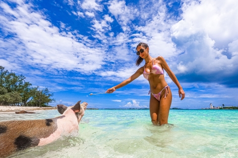 Île Pearl : Plage des cochons avec déjeunerÎle Pearl : Pigs Beach avec déjeuner et kayak