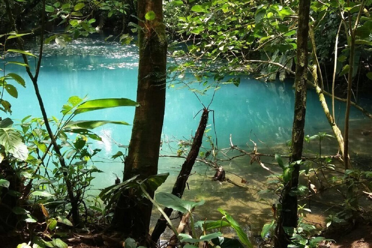 From San Jose: Guided Tour Celeste River