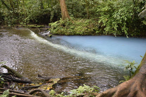 Von San Jose aus: Geführte Tour Celeste River