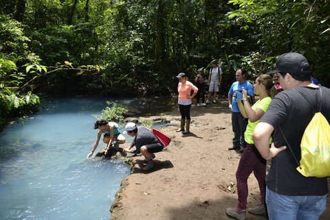 Von San Jose aus: Geführte Tour Celeste River