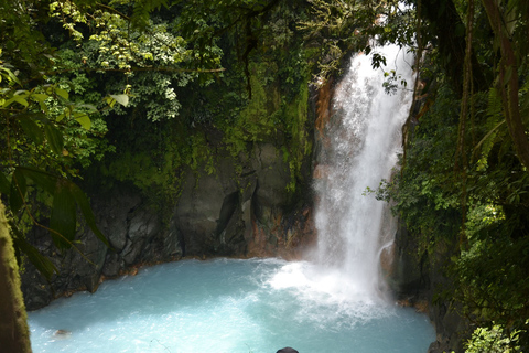 Da San Jose: Tour guidato del fiume CelesteDa San Jose: tour guidato del fiume Celeste