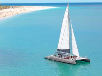 Fuerteventura : Excursion magique en catamaran avec repas et boissons