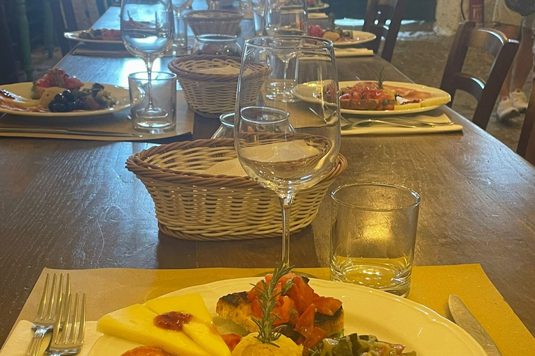 Rome: Private Wine Tour and Pasta Making Class in a Winery