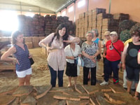 Tour della fabbrica di sughero - Housity