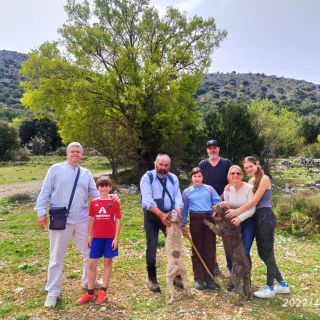 From Elounda or Agios Nikolaos: Private Truffle Hunting Tour