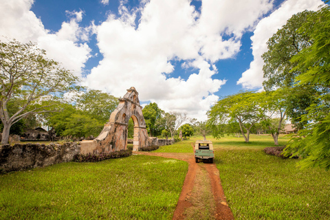 Uxmal: Prywatna wycieczka po plantacjach zabytkowym Land Roverem