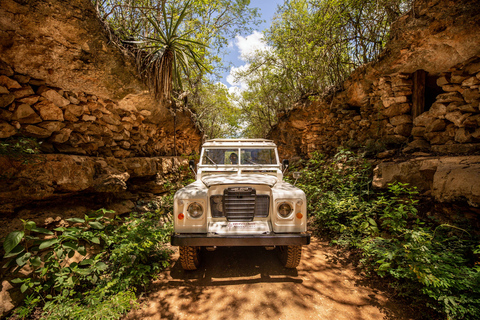 Uxmal: Prywatna wycieczka po plantacjach zabytkowym Land Roverem