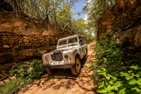 Uxmal: Privat tur till plantagerna i en gammal Land RoverUxmal: Private Plantations Tour i en vintage Land Rover