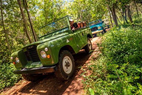 Uxmal: excursão privada às plantações em um Land Rover Vintage