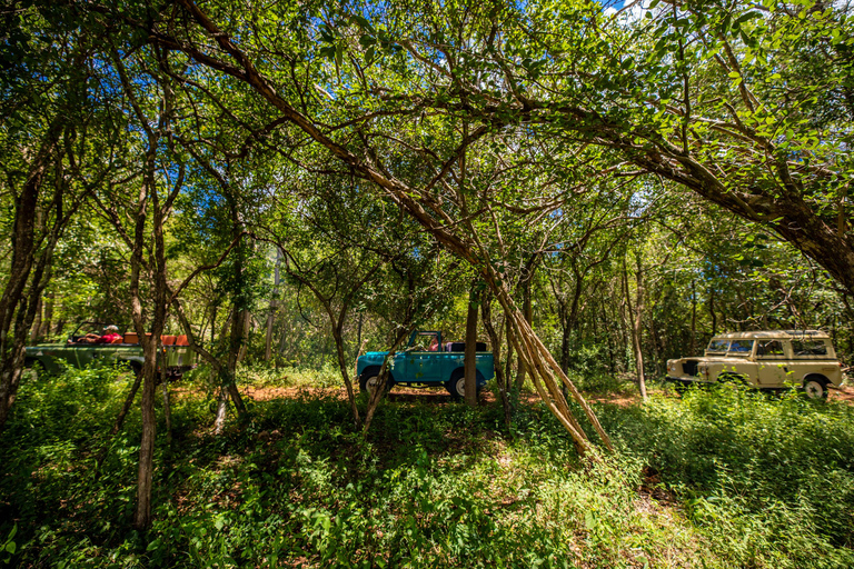 Uxmal: Privat tur till plantagerna i en gammal Land RoverUxmal: Private Plantations Tour i en vintage Land Rover