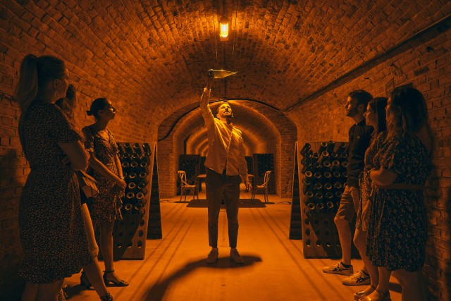 Visit Aÿ-Champagne Champagne House Tour and Tasting Class in Epernay