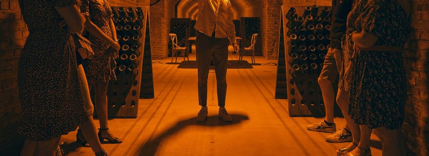 Champagne : Cours de dégustation de champagne avec déjeuner