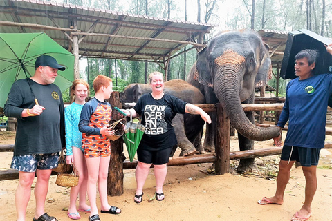 Da Phuket: Tour privato della conservazione degli elefanti e delle tartarughe marineDa Phuket: tour privato per la conservazione di elefanti e tartarughe marine