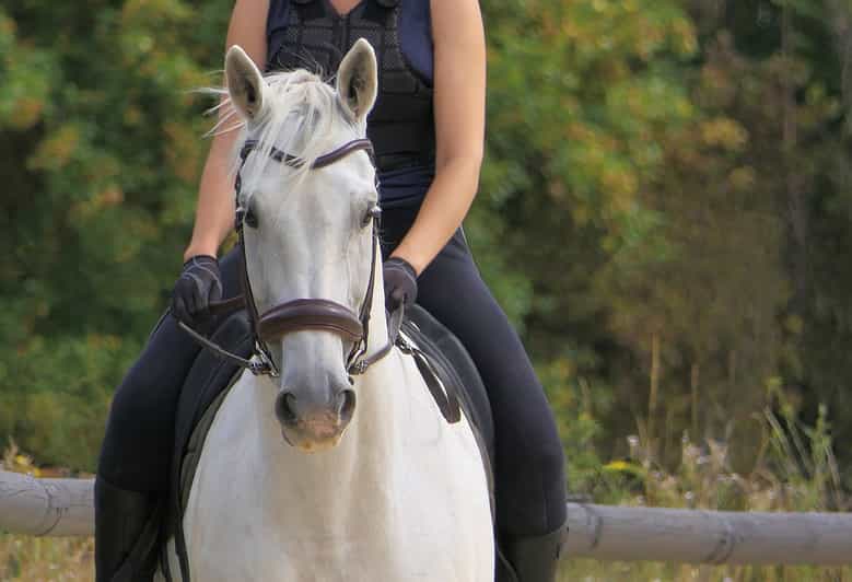 From Johannesburg HorseRiding Safari and Cable Car Tour GetYourGuide