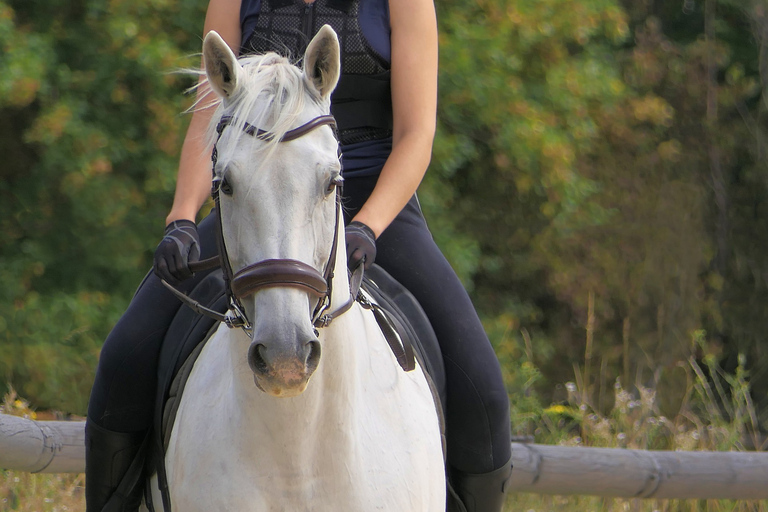 De Johannesburg: Safari à cheval et visite en téléphérique