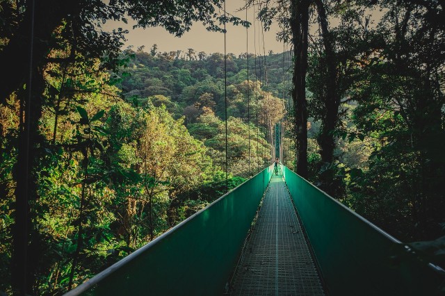 Van Monteverde: Monteverde Suspension Bridge begeleide wandeling